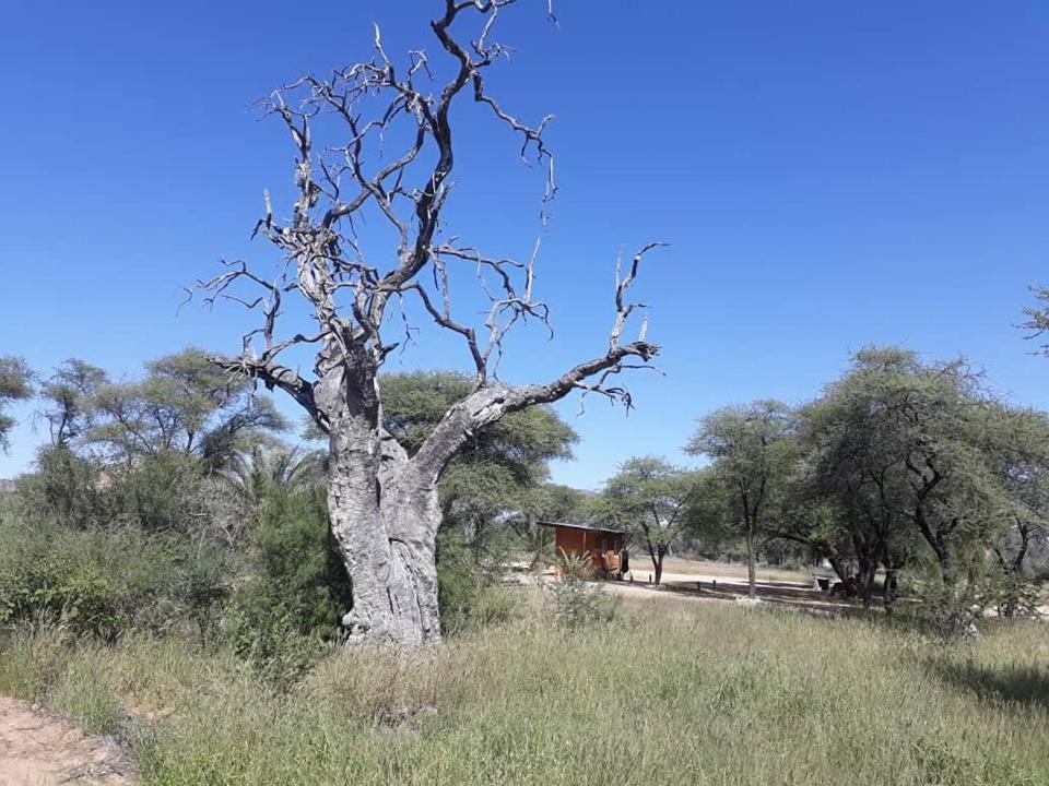 Camp Mara Hotel Omaruru Exterior foto